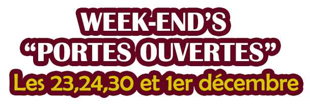 je vais voir les soldes de Meubles Barbier